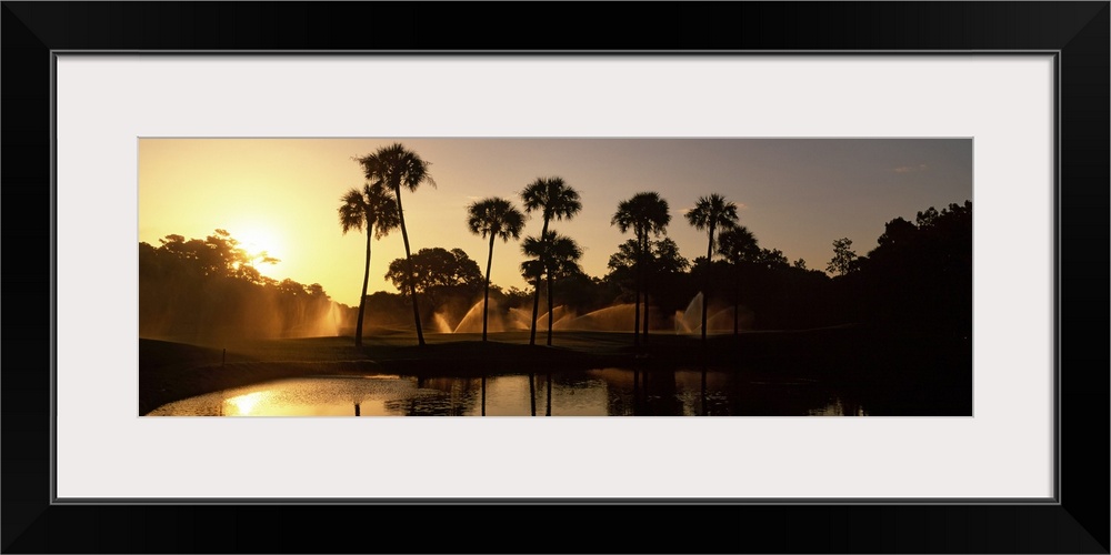 Panoramic wall art of palm trees on a golf course silhouetted against a rising sun with sprinklers going off in the distance.