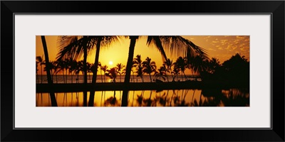 Silhouette of palm trees at sunset, Anaeho Omalu Bay, Waikoloa, Hawaii