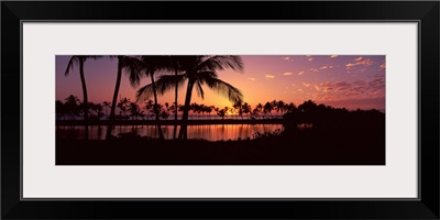 Silhouette of palm trees at sunset, Anaehoomalu Bay, Waikoloa, Hawaii