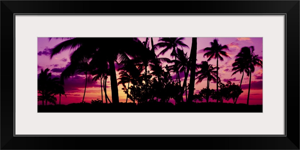 Oversized, landscape photograph of a vivid sunset in Ko Olina, Oahu, Hawaii, with the silhouettes of many palm trees in th...