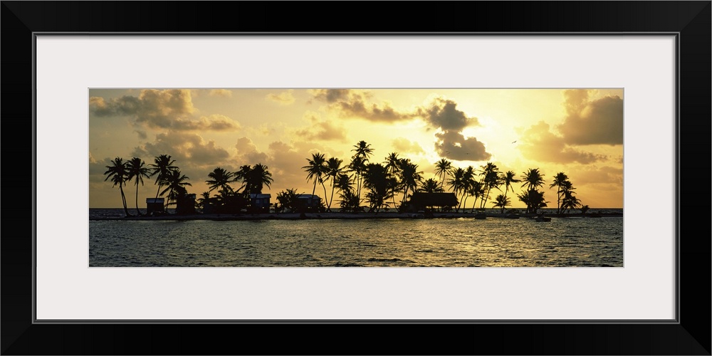 Silhouette of palm trees on an island at sunset, Laughing Bird Caye, Victoria Channel, Belize