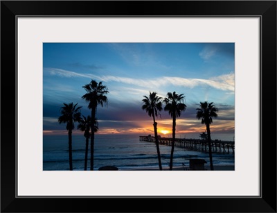 Silhouette of palm trees on the beach, Laguna Beach, California