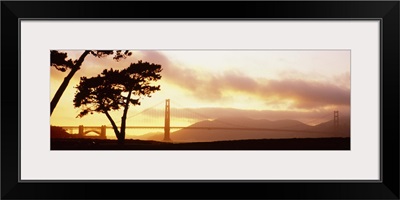 Silhouette of trees at sunset, Golden Gate Bridge, San Francisco, California