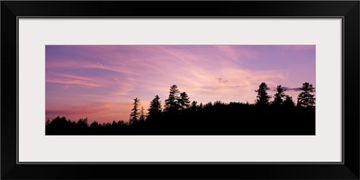 Silhouette of trees during sunset, Raquette Lake, Adirondack Mountains, New York State