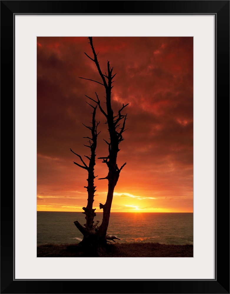 Vertical canvas photo art of a silhouetted bare tree in front of a body of water at sunset.