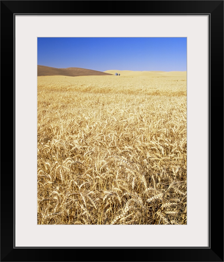 Silo in a wheat field, Palouse Country, Washington State