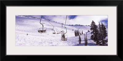 Ski lifts in a ski resort, Snowbird Ski Resort, Utah