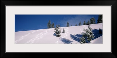 Ski Tracks Jackson Hole WY