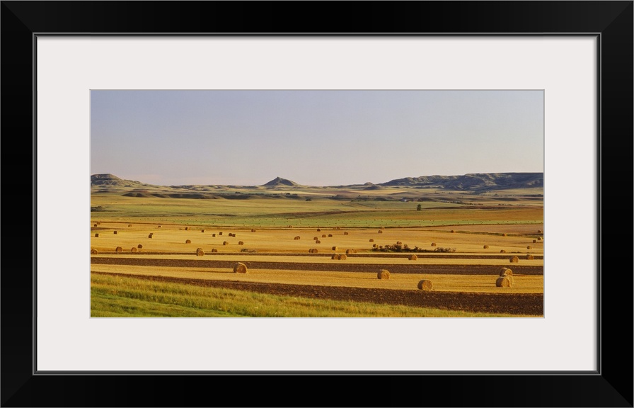 Hay bills are scattered about and photographed in this vast open field.