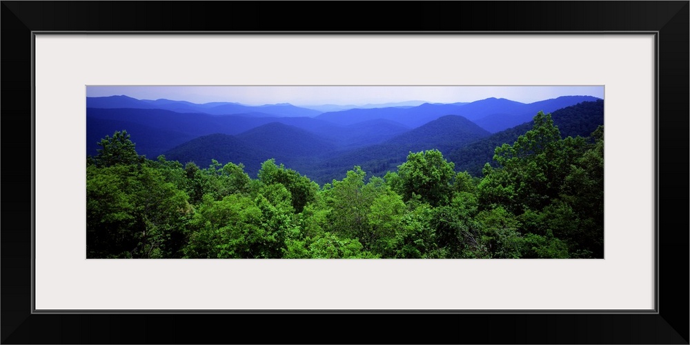 Panoramic photograph on a large canvas looking over green treetops to a vast mountain range of the Smoky Mountain National...