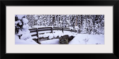 Snow covered footbridge in a forest, Banff National Park, Alberta, Canada