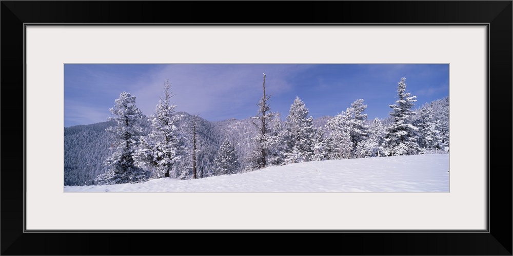 Snow covered landscape, Colorado