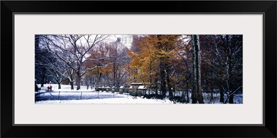 Snow covered park in a city, Central Park, Manhattan, New York City, New York