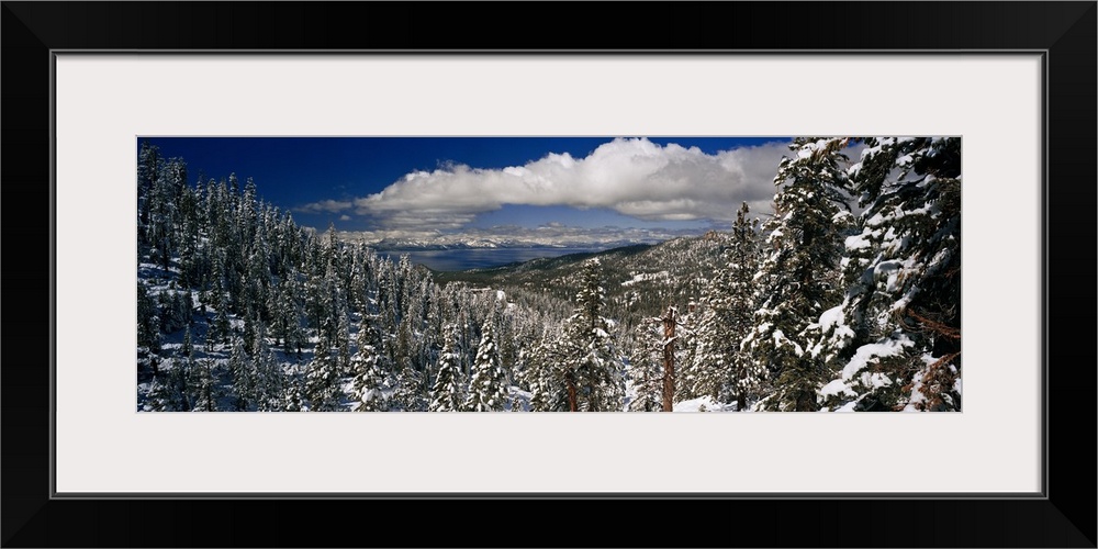 Panoramic photograph of snowy forest under a cloudy sky.