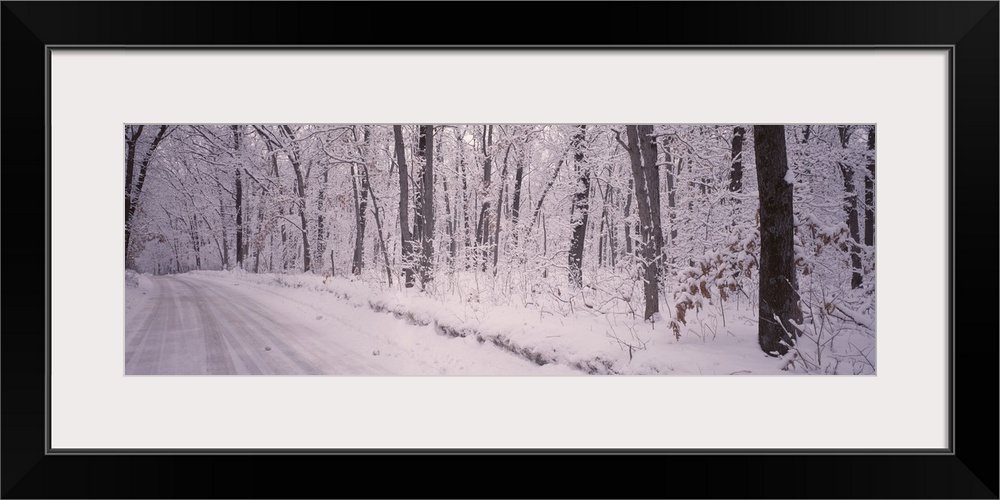 Snow covered road, Holland, Michigan