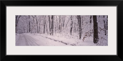 Snow covered road, Holland, Michigan