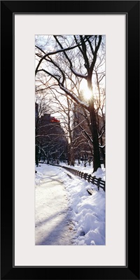 Snow covered walkway in a park, Central Park, Manhattan, New York City, New York