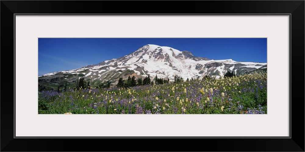 Snowcapped mountain on a landscape, Mt Rainier, Mt Rainier National Park, Washington State