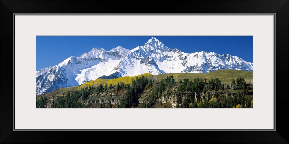 Snow covered mountains are pictured behind grassy terrain covered with pine trees.