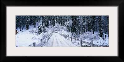 Snowy Bridge Lake Tahoe CA