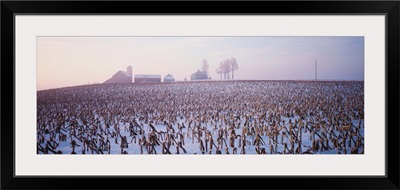 Snowy cornfield IL