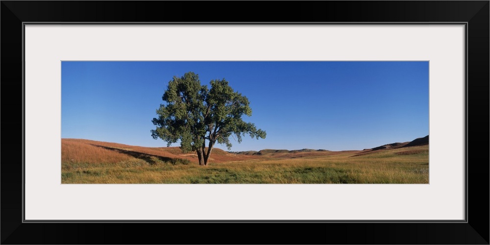 South Dakota, Wind Cave National Park