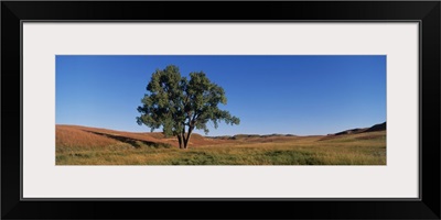 South Dakota, Wind Cave National Park