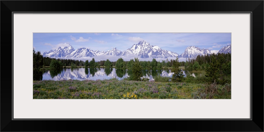 Spring Grand Teton National Park WY