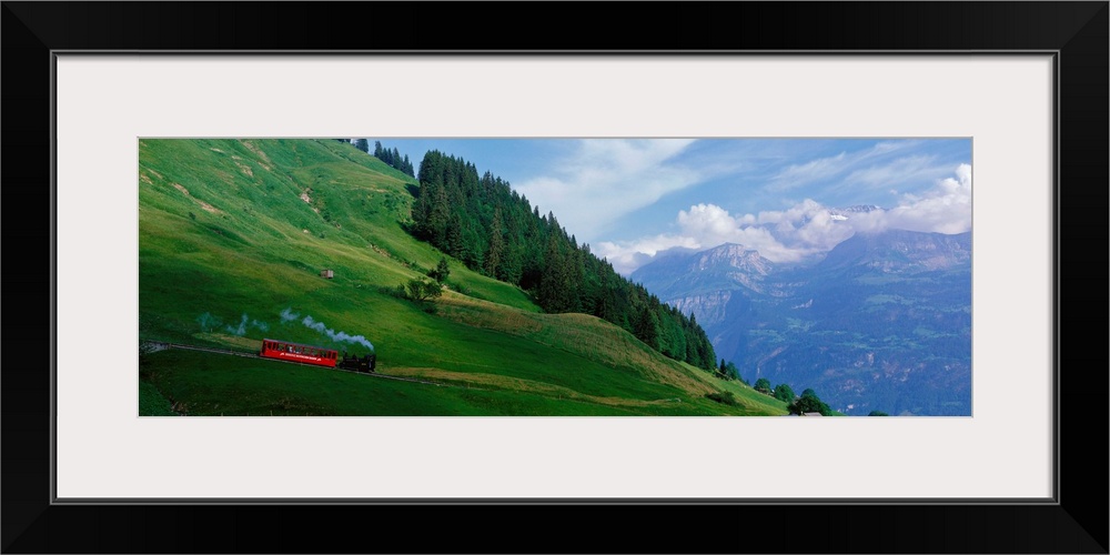 Steam Train near Brienz Switzerland