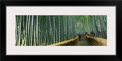 Stepped walkway passing through a bamboo forest, Arashiyama, Kyoto Prefecture, Kinki Region, Honshu, Japan