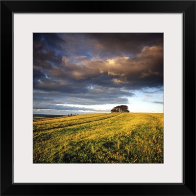 Storm Clouds Field Dorset England