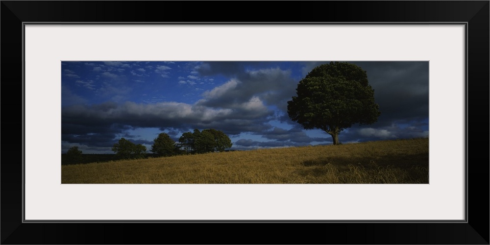 Storm clouds over a field, Republic of Ireland