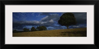 Storm clouds over a field, Republic of Ireland