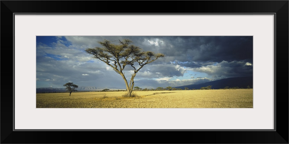 Storm clouds over a landscape, Tanzania