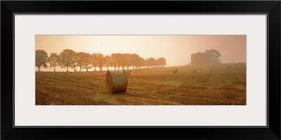 Straw Bales Scotland