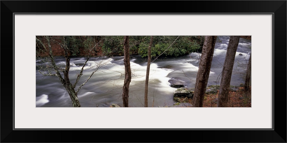 Big, horizontal photograph of trees in a forest surrounding a rushing, rocky stream in the Appalachian Mountains of North ...