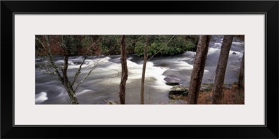 Stream flowing through a forest, Appalachian Mountains, North Carolina,