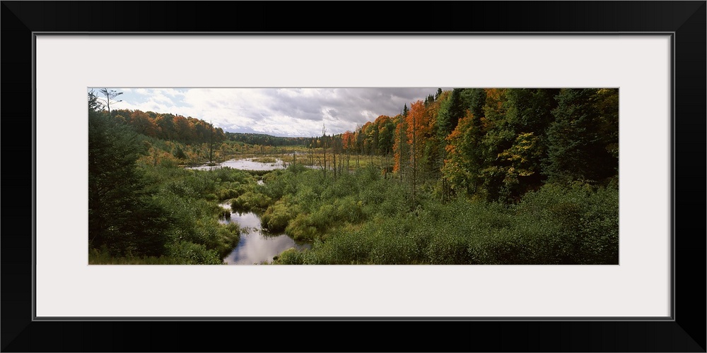 Ottowa National Forest, Upper Peninsula, MI