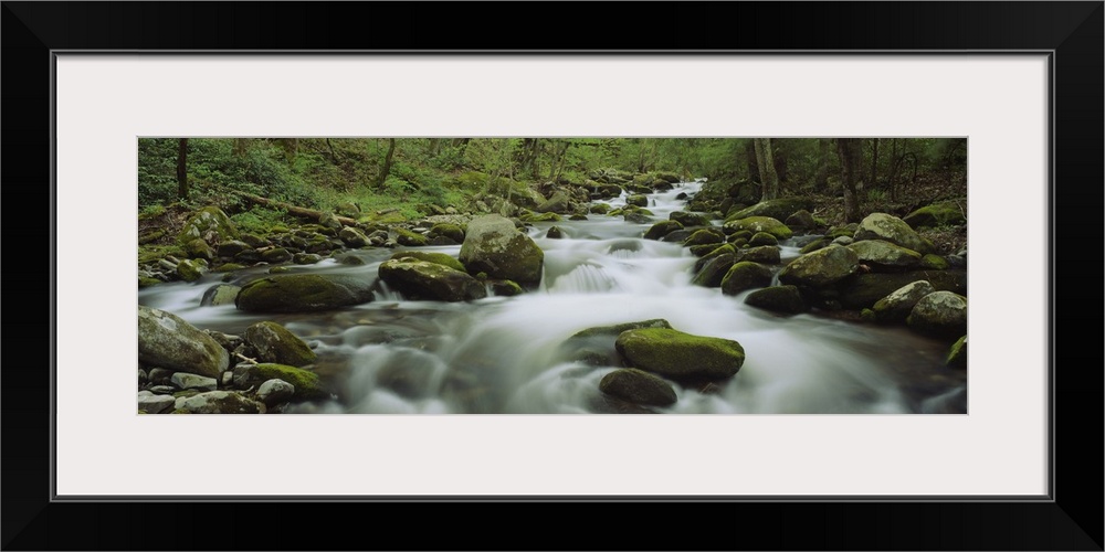 Wide angle photograph of a rocky stream running through a green forest in the Great Smoky Mountains National Park, in Tenn...