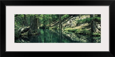 Stream in a forest, Honey Creek, Texas,