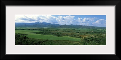 Sugar cane fields, Cienfuegos, Cienfuegos Province, Cuba