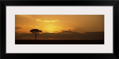 Sunrise over a landscape, Masai Mara National Reserve, Kenya