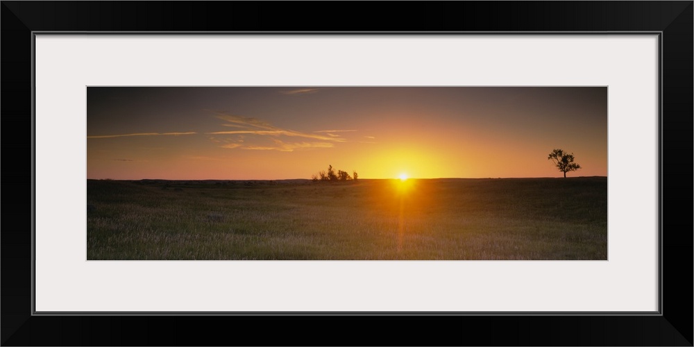 Panoramic picture taken of the sun rising just over the horizon and onto a massive grass plain.