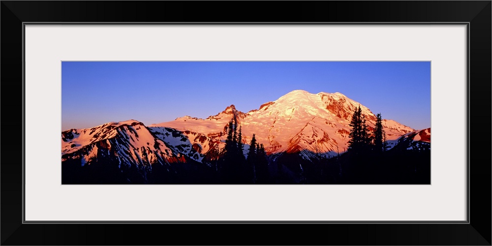 Panoramic photograph taken of snow topped mountains during sunset with the trees in front silhouetted.