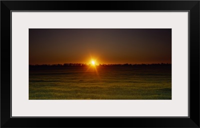 Sunset over a field, Sacramento County, California