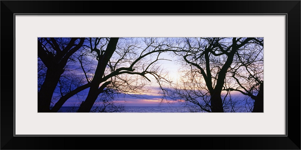 Horizontal panoramic photo of Lake Erie seen between the bare tree branches as the sun sets behind clouds.