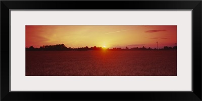 Sunset over a wheat field, Wood County, Ohio