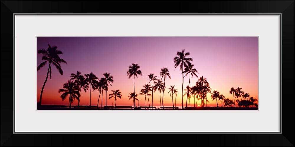 This panoramic photograph shows several silhouettes of trees clustered around the shoreline of this tropical island.