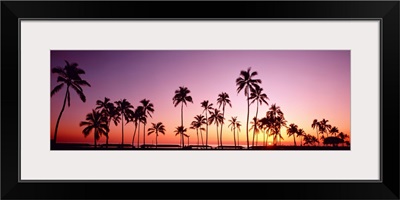 Sunset Palm Trees Oahu Island HI