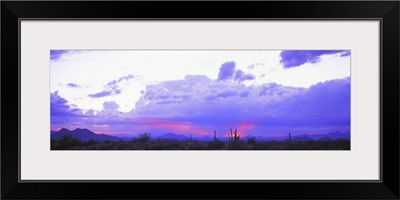 Sunset Sonoran Desert Tonto National Forest Arizona